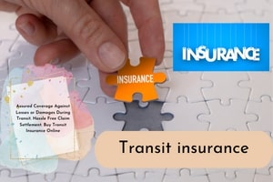 Transit insurance